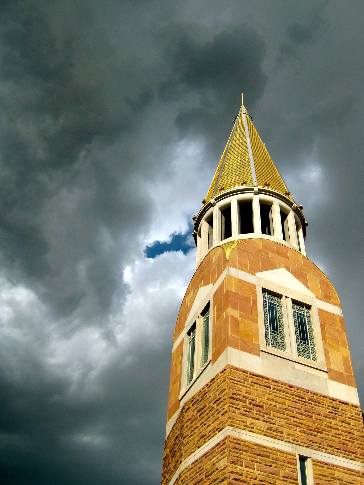 RBird Photography: Contrast of Light vs. Dark