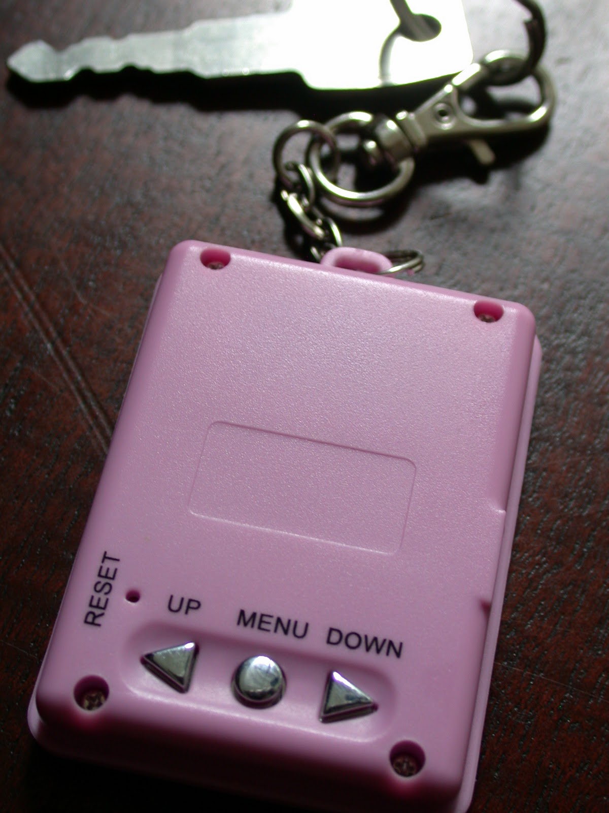 The Candid Reviewer CLOSED Digital Photo Keychain {review + giveaway