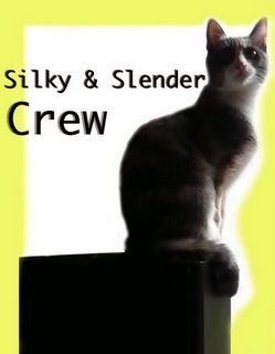 [Silky+and+Slender+Crew.jpg]