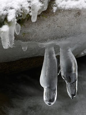 Lumbar Spinal Stenosis More Condition_symptoms