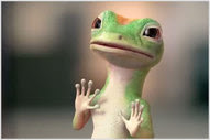 geico scoop there it is geico scoop there it is
