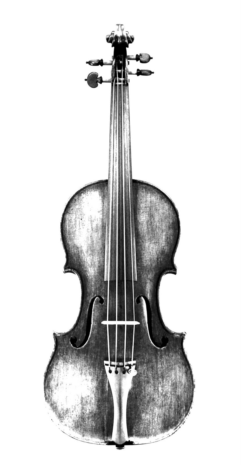 FAAARTS 5 Caroline D'Angelo The history and physics of stringed