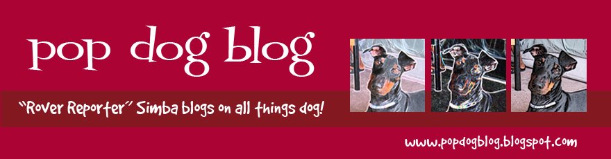 pop dog blog