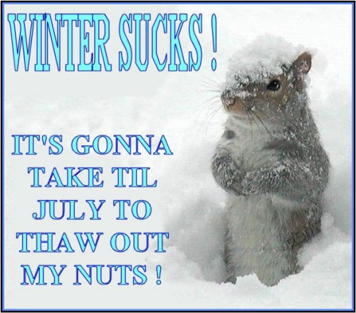 [imageswinter-20sucks.jpg]