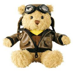 Pilot Bear from Cathay Pacific Airways: USD12