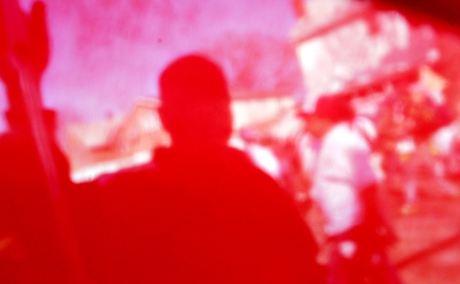 [Phagwah+more3+-+Santucci.jpg]