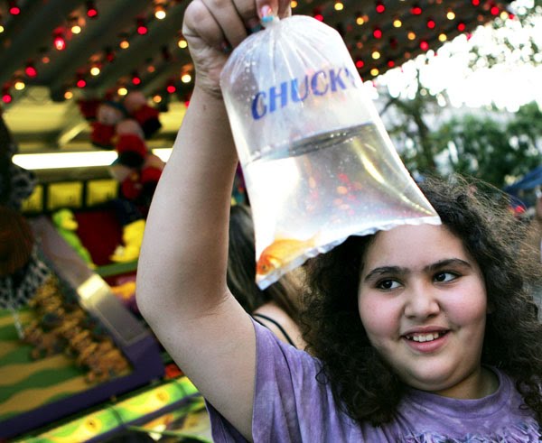 [RG+fair+-+Santucci.jpg]