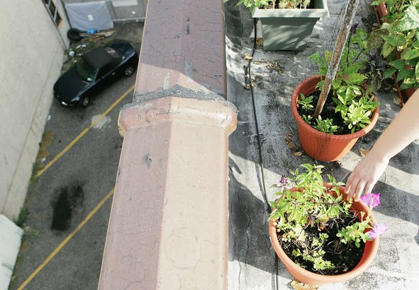 [Urban+Gardening8+-+Santucci.jpg]