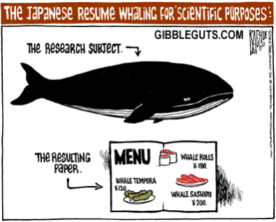 [japanese_whale.gif]