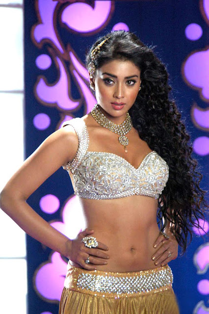 Indian Celebrity Sexy Girls Shreya Saran Item Song Stills 