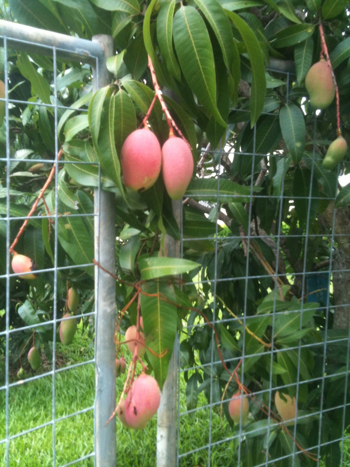 Sun Pacific College Cairns, Australia Sun Pacific College