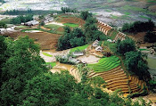 Hill rice field in Sapa