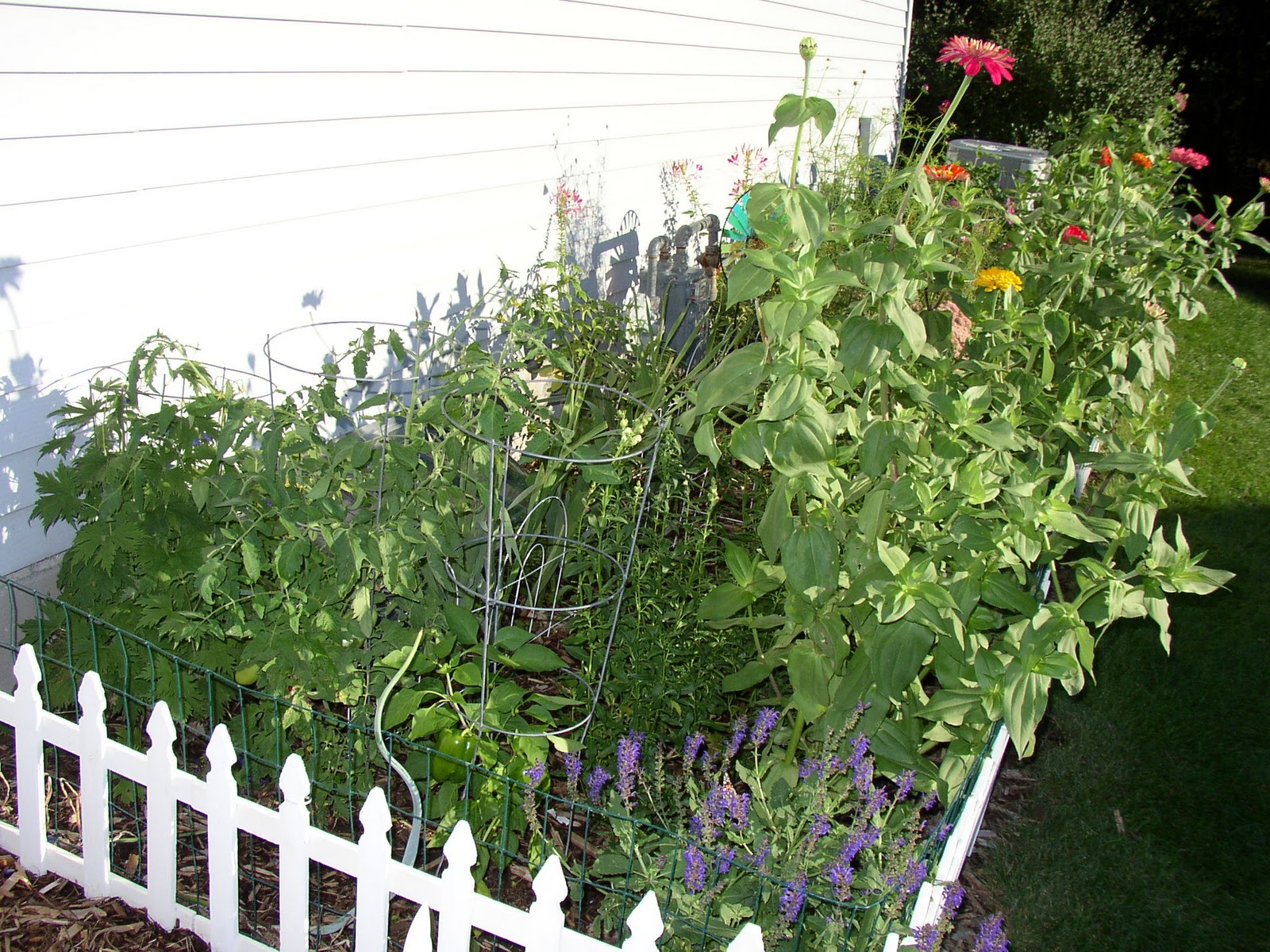 PlantPostings My plants' habitat