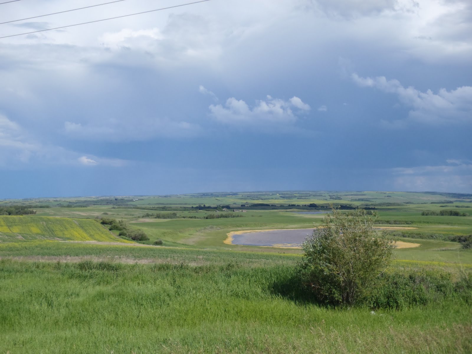 Adventures of a Saskatchewan Girl: Some pretty things