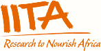 IITA News and Updates