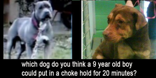 [boychokespitbull.jpg]