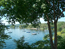 Marina at Lake Bomossen