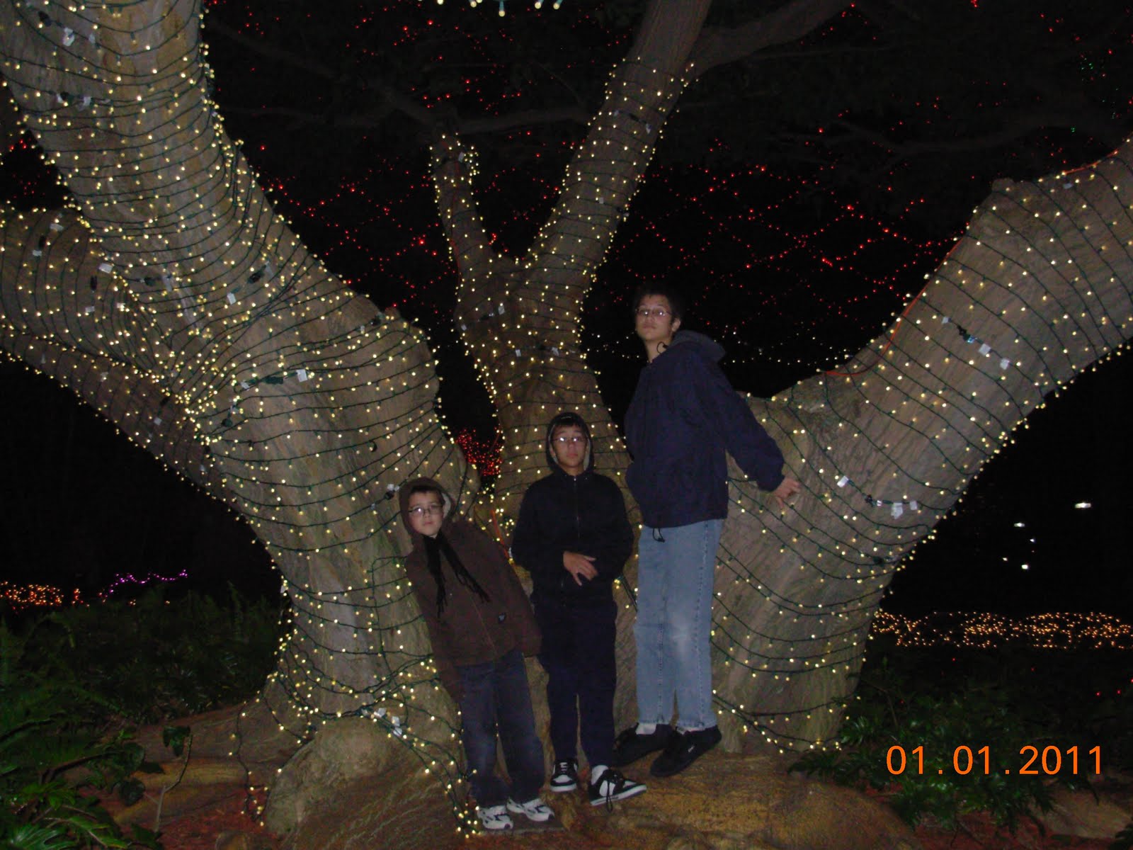 Lori Pori What's the Story? Los Angeles Temple Christmas Lights