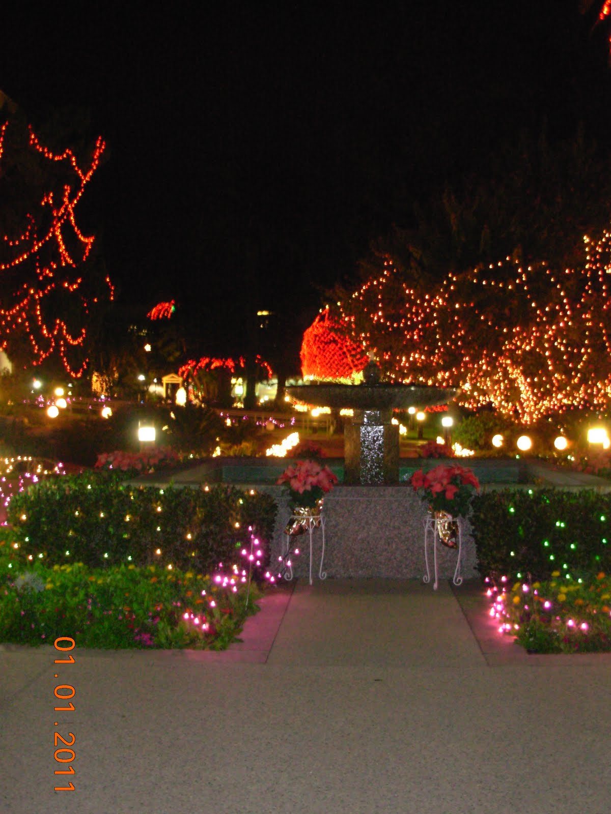 Lori Pori What's the Story? Los Angeles Temple Christmas Lights