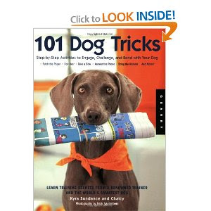Home Dog Training Products