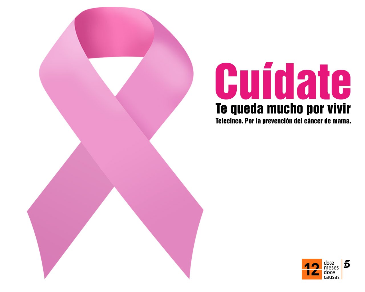 Medicinal plants and their uses neem,