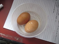 Eggs in white vinegar