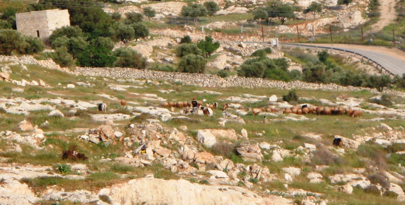 My Time in the Holy Land: Herodian Palace and Shepherd's Field