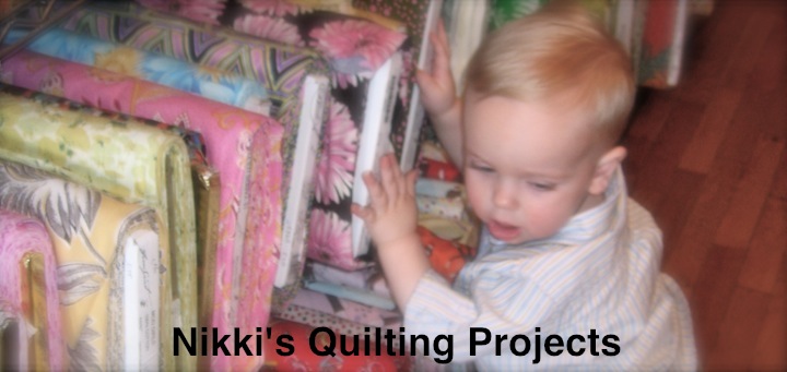 Nikki's Quilting Projects