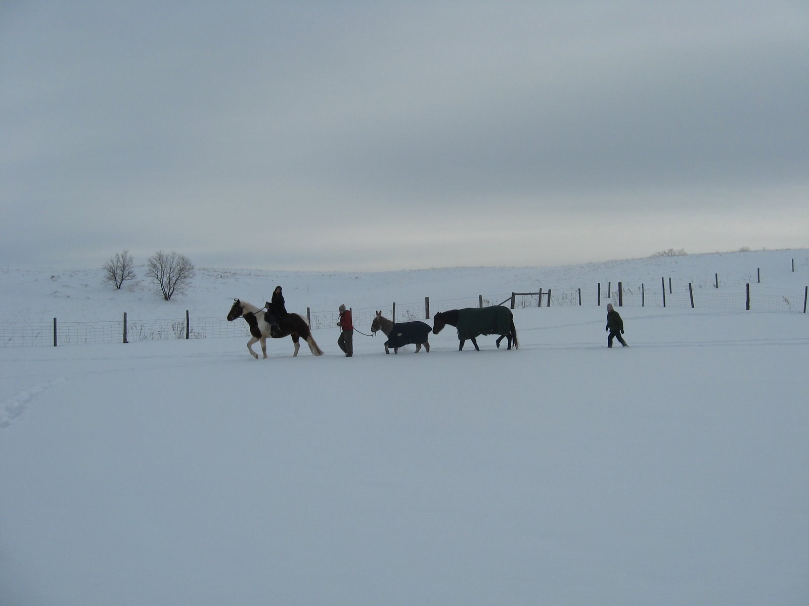 [IMG_5242.JPG]