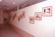 IMSE - Wall Pictures