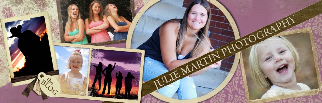 Julie Martin Photography - Newborn, wedding, seniors, children photographer Westphalia, MI