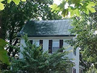 Green roof impact too diluted by nearby trees