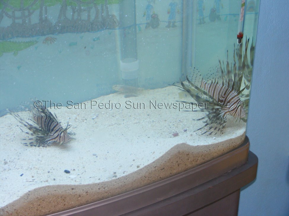 [Picture+010+SM.jpg]