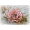 paper roses