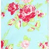 pink & aqua fabric