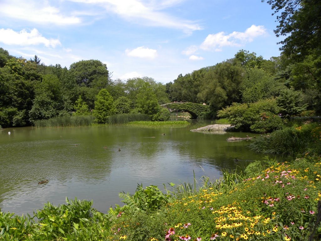 Exotic Travel Destinations Escape from the heat in Central Park, New York