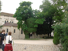 A arvore mais velha de Paris.Jardim de Saint Julien le Pauvre
