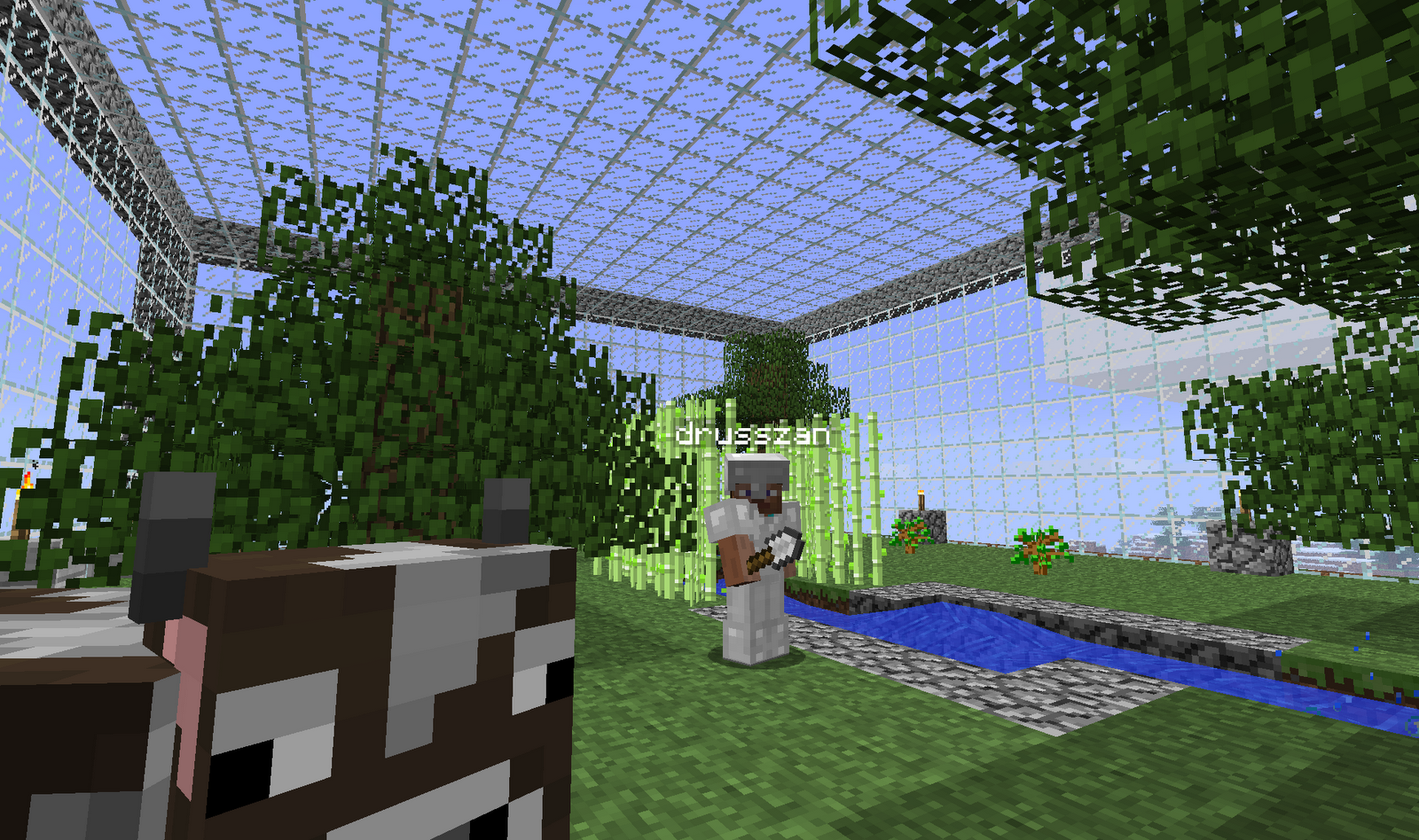 Оранжерея майнкрафт схема