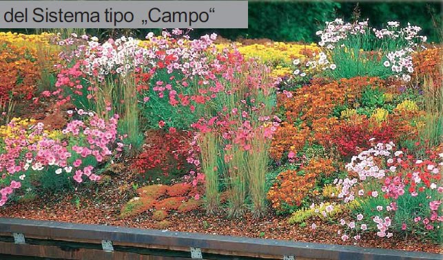 Cubiertas vegetales ~ Jardinería y Paisajismo. (paisajismo sostenible)