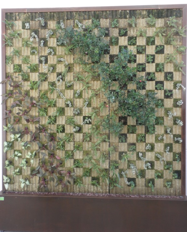 Tapices verticales en jardinería bioclimática : Jardines verticales y