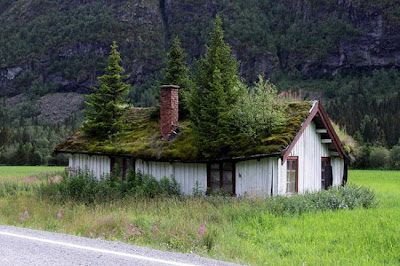 Tejados verdes Noruega
