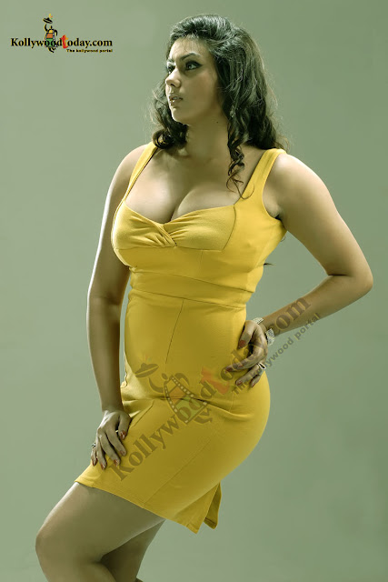 Hot South Indian Celebrity Namitha Photos