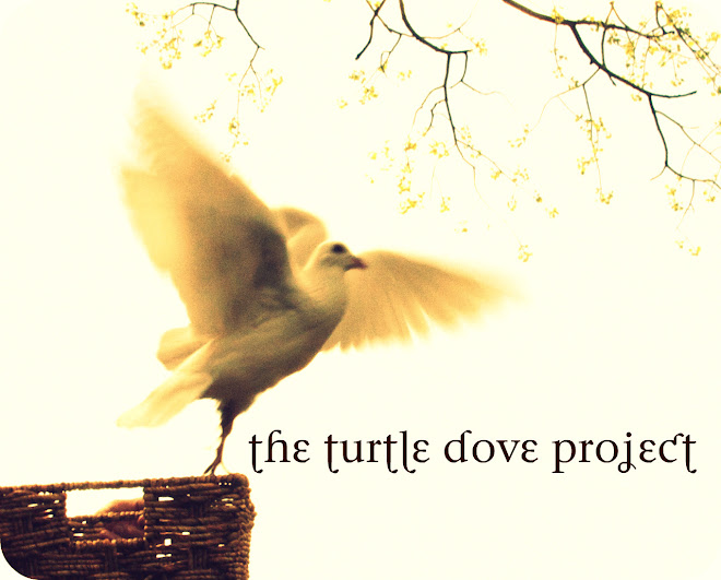 The Turtle Dove Project