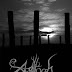 Agalloch - The Silence of Forgotten Landscapes DVD