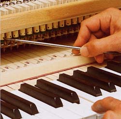 [Schimmel_regulatingletoff.jpg]