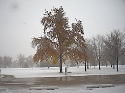 the snowy spring at UNCO, Greeley, Colorado, in 2003