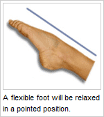 flexible foot