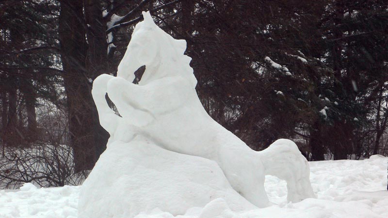[snow-art-horse.jpg]