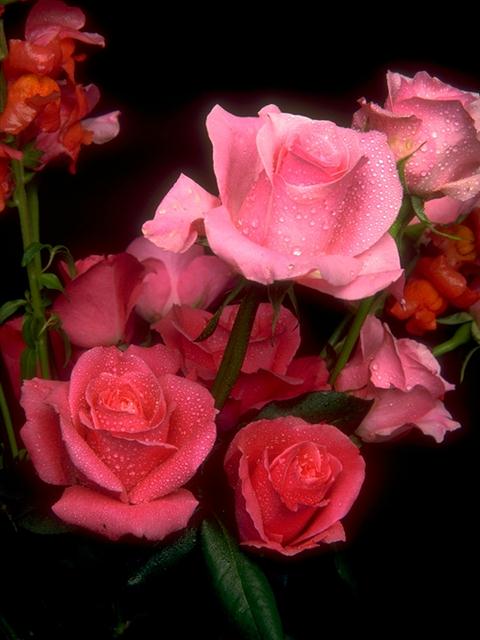 [D01C0056.JPG]