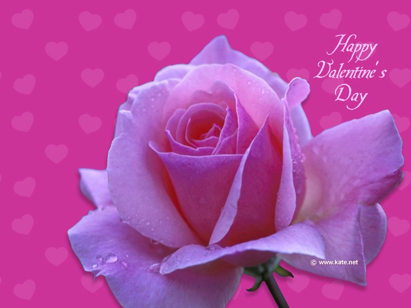 [VALENTINE.JPG]